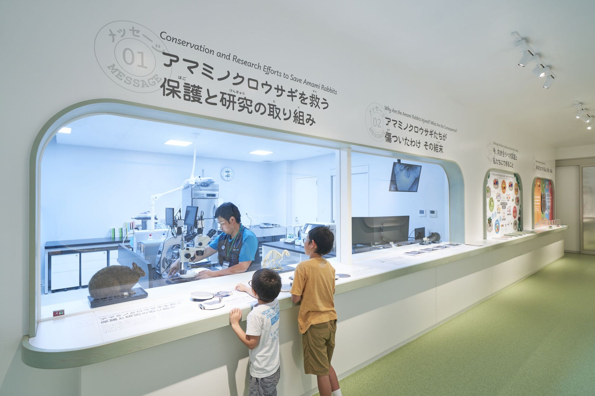 アマミノクロウサギミュージアム Quru Guru6